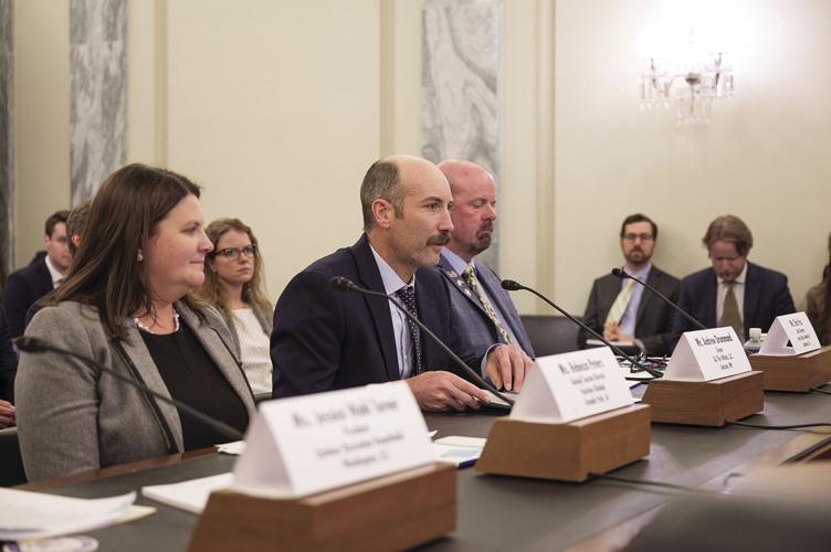 Ski the Whites at Senate medium