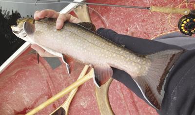 12-31-2022 North Country Angling-New Year's Resolutions