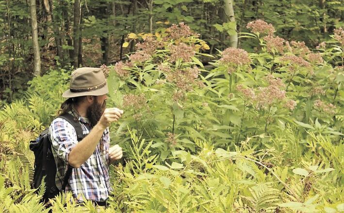 Weeks State Park - Matt Peters with Wildflowers.jpg
