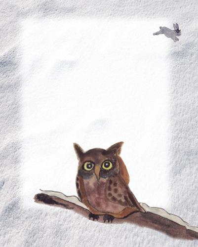 owl