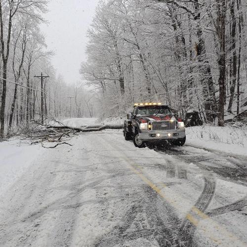 Hurteau towing moves tree