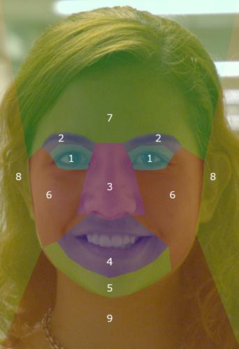Facial identity specialists can recognise someone just from their eyes or ears