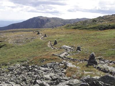 Cairns Alpine Garden Trail - Steve Smith.jpg