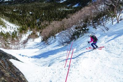 Wiseguy onto trail from behind