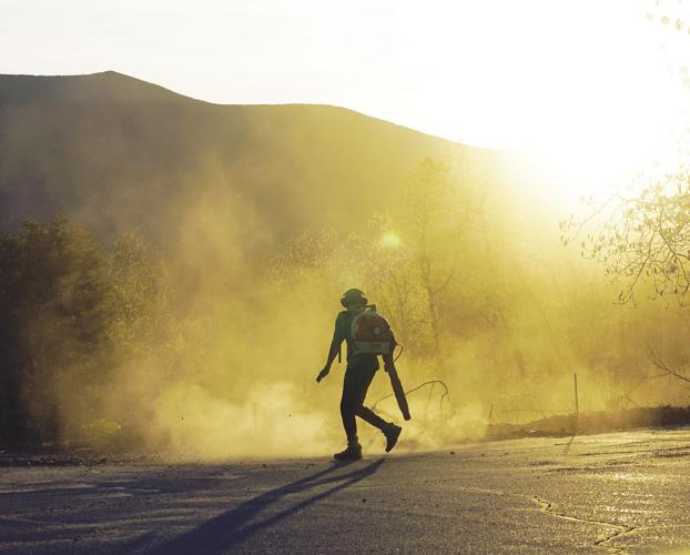 5-9-19 Gold Dust.jpg