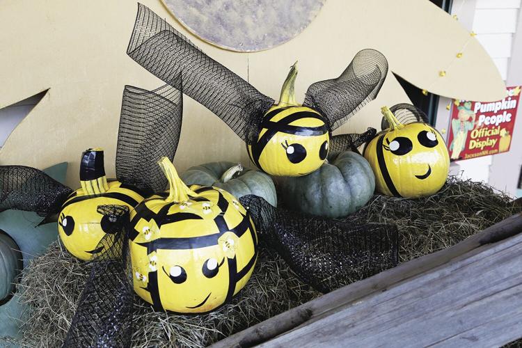 10-05-21 Pumpkins wentworth medium