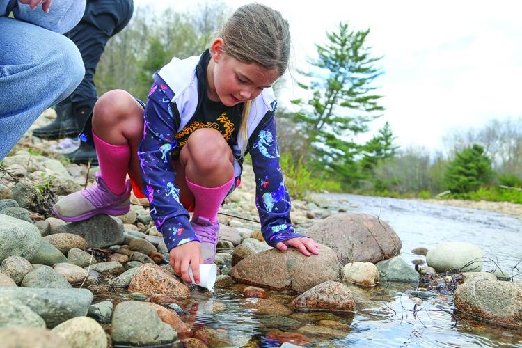 05-07-26 PT Trout Release low best