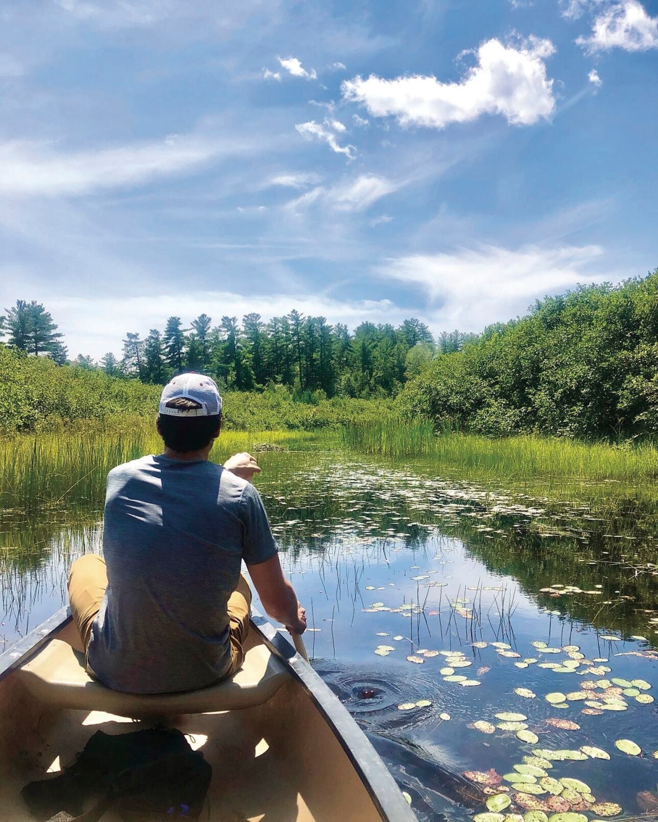 Upper Saco Valley Land Trust-Pequawket Pond Preserve