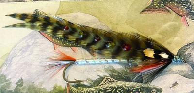 North Country Angler - Oatman’s Baby Brook Trout feather