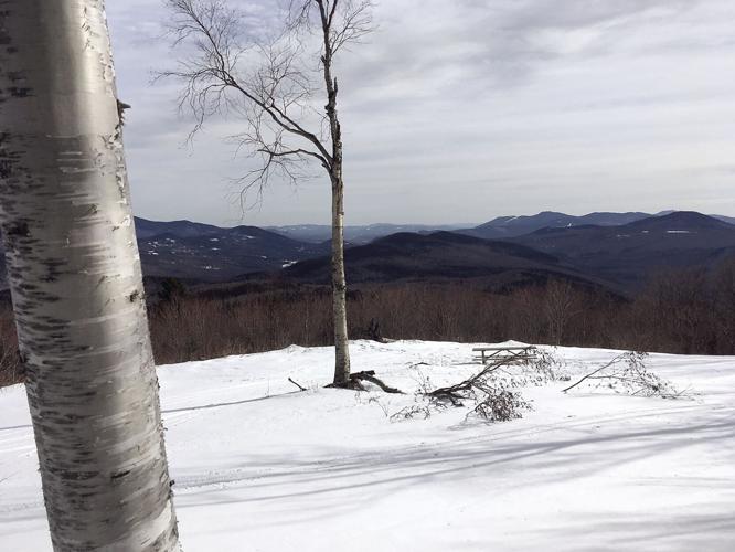 Nordic Tracks — Hall's Ledge Overlook Trail