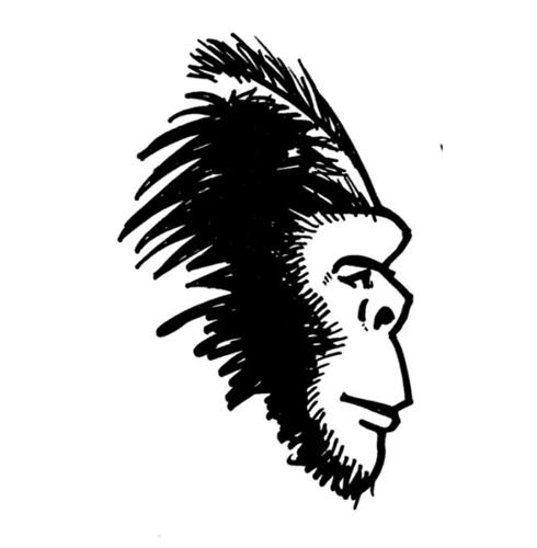 Bigfoot hunters using state of the art technology in bid to finally solve mystery