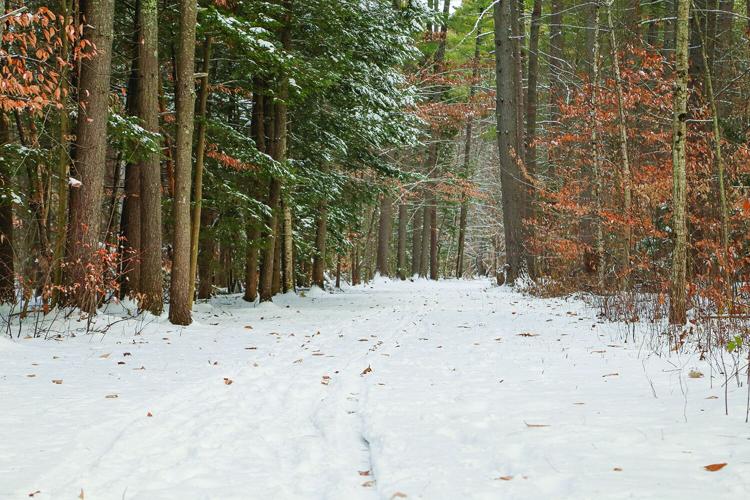 12-01-25 Snow whitaker tracks