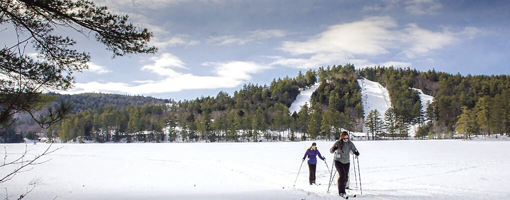 Nordic Tracks - King Pine