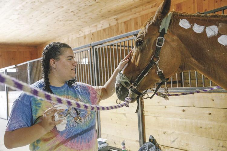 07-19-22 Vet Camp petting horse medium