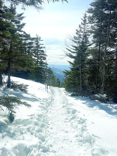 Hiking - Mount Kearsarge Trail view