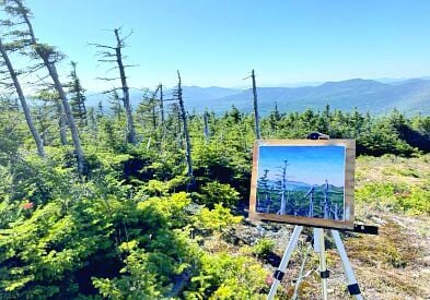 Krebs Press Release 2026