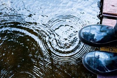 Septembers with the most precipitation in New Hampshire since 1895