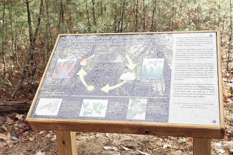 11-10-21 Panels sign succession