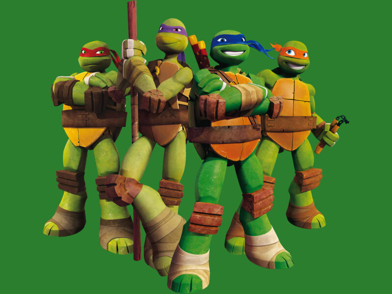 Teenage Mutant Ninja Turtles (TMNT)