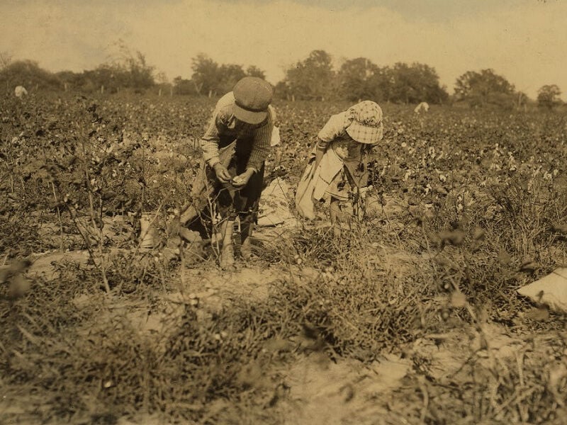Renowned Photographer Documented Child Labor in Northeast Texas, Speckled  Crow