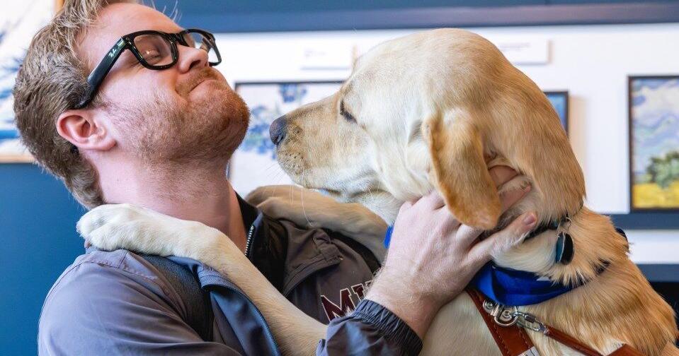 Meta AI glasses available for veterans