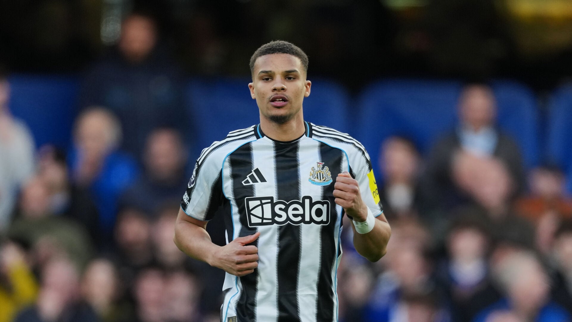 Newcastle Soccer Sports Couriernews Com