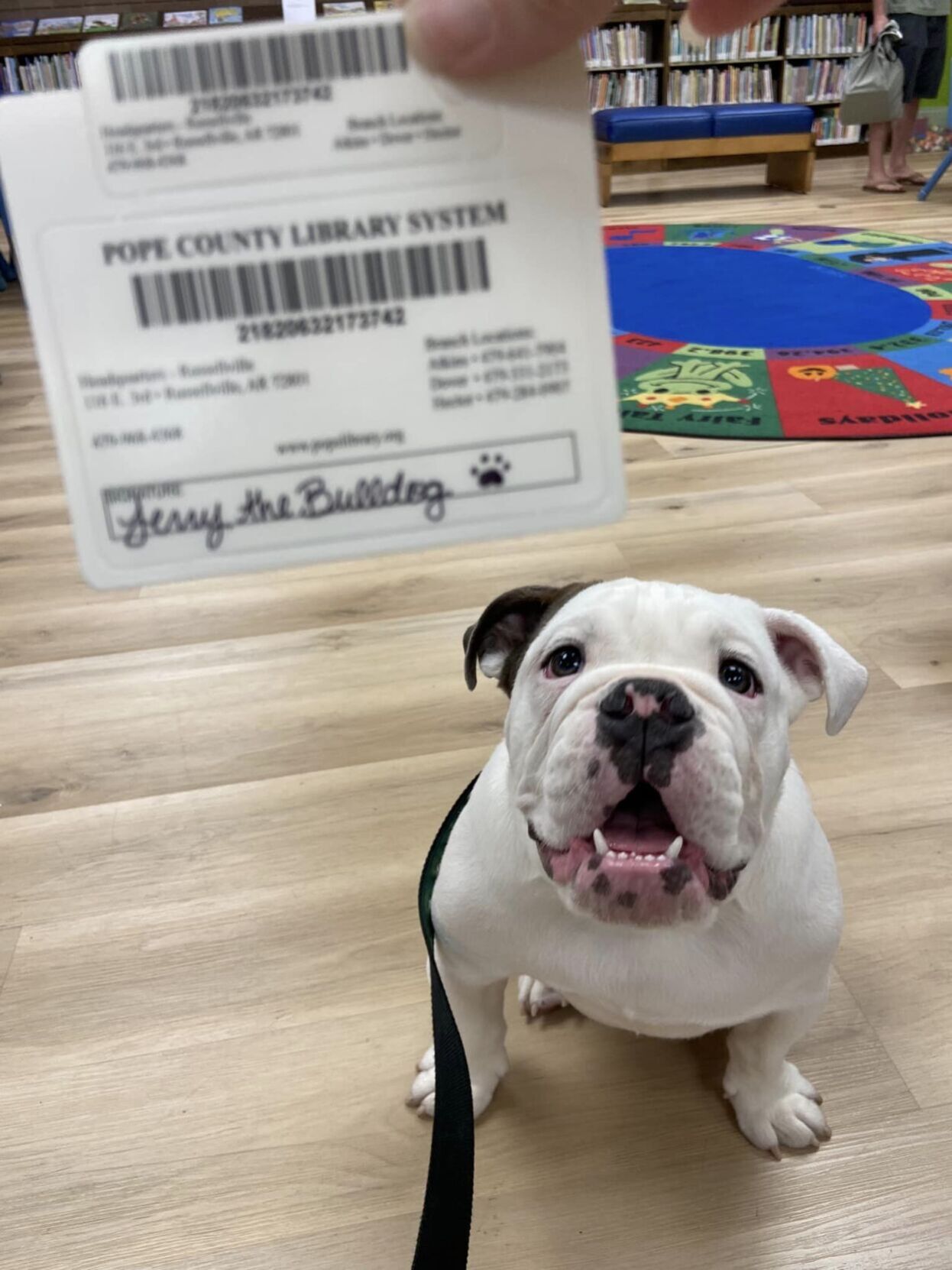 does your library card expire does your library card expire