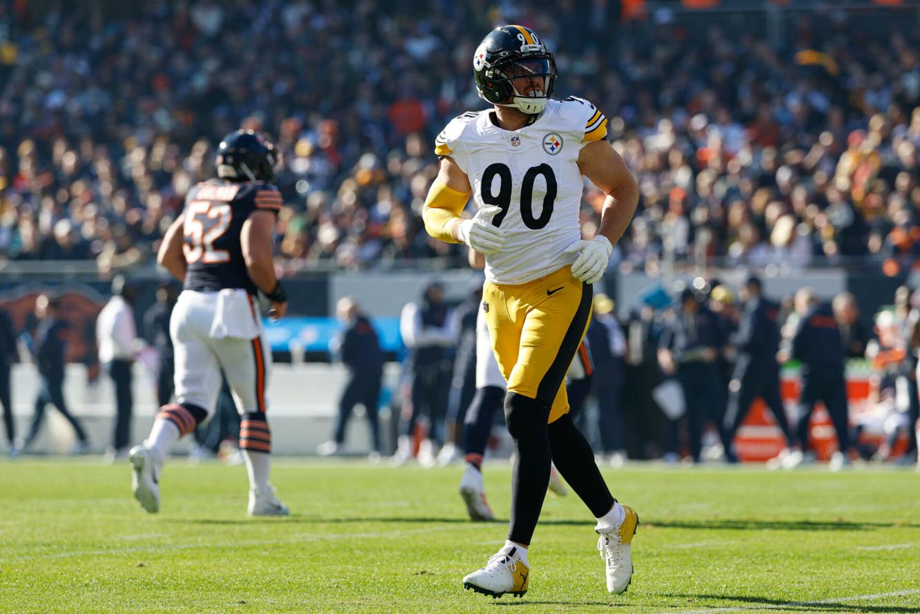 Steelers Bears Football Sports