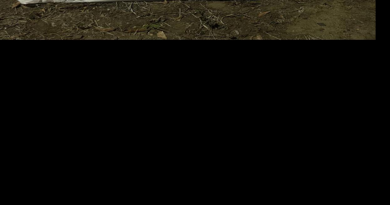 Local haunted houses prepare for Halloween News