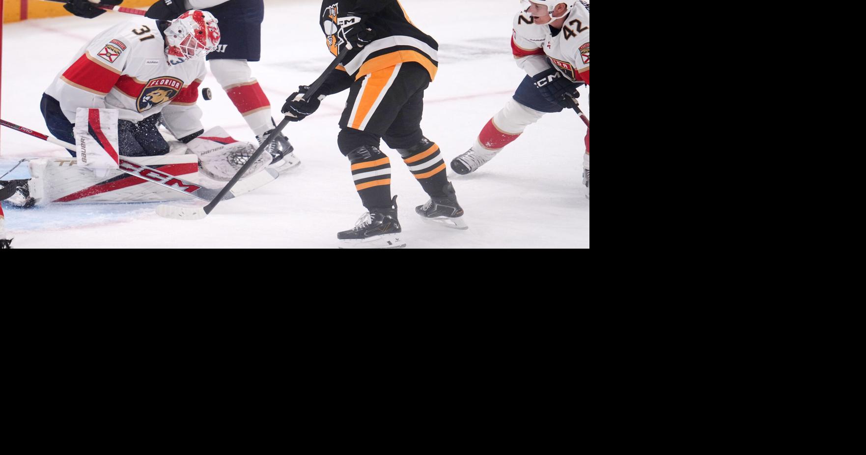 Panthers Penguins Hockey