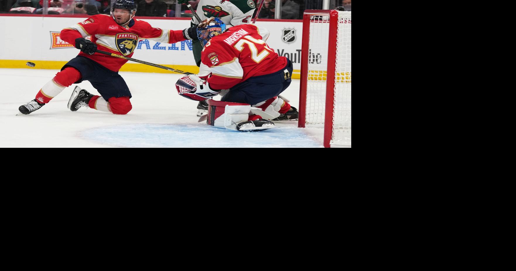 Wild Panthers Hockey | Sports | couriernews.com