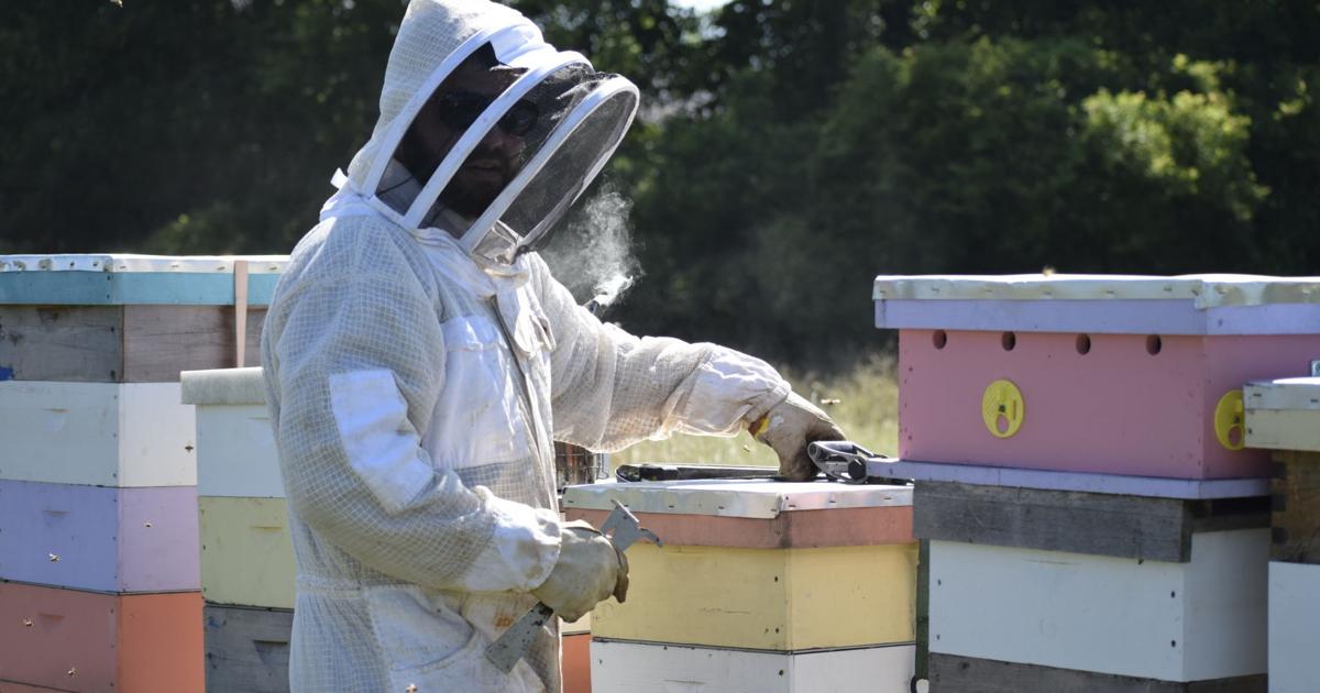 Jake Rye the Bee Guy | News | couriernews.com