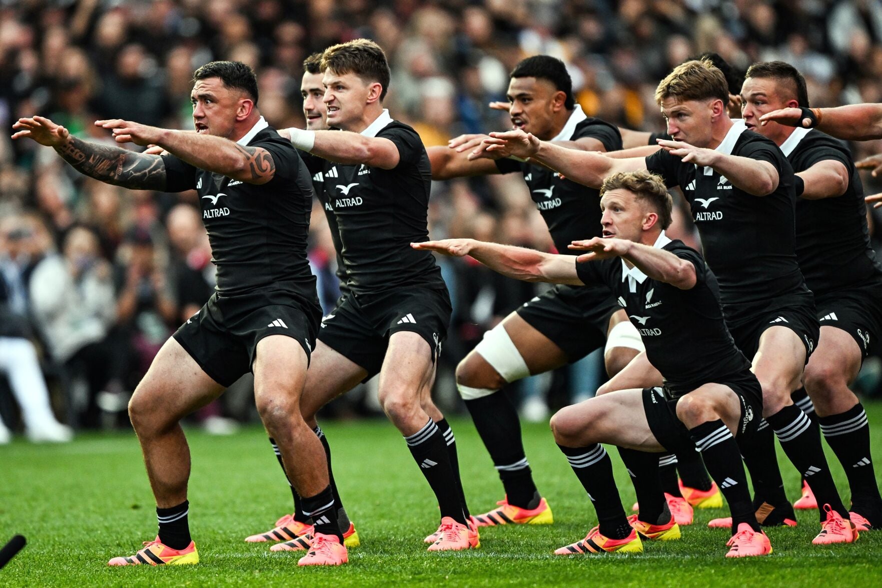 New Zealand Australia Rugby | Sports | couriernews.com