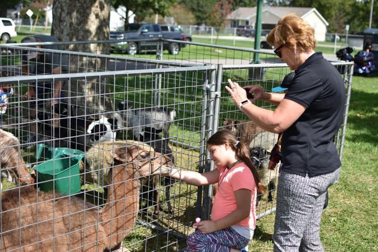 Annual Fall Festival held in Napoleon Local News