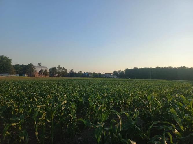 Local farm focus The Purple Barn Local Farm