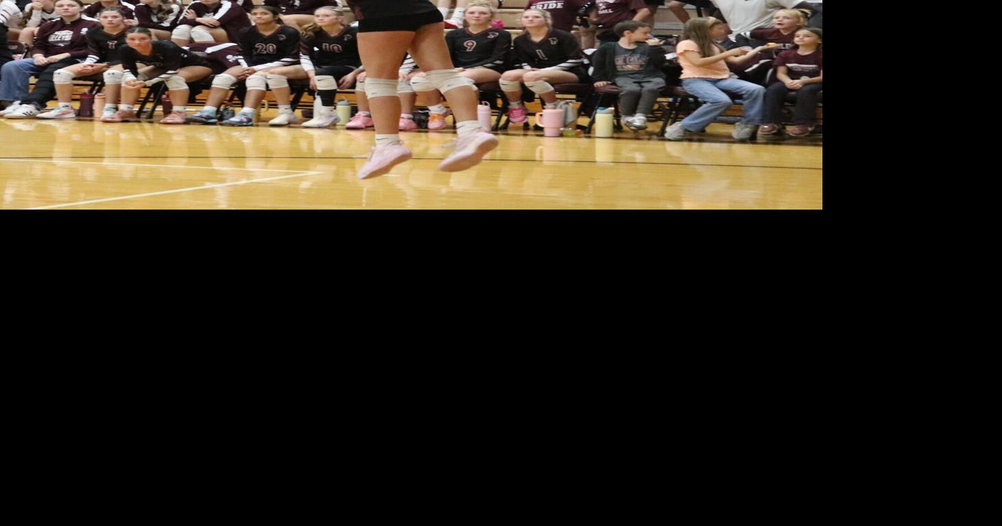 All-GMC volleyball: Paulding's Pease league's top player | Push ...