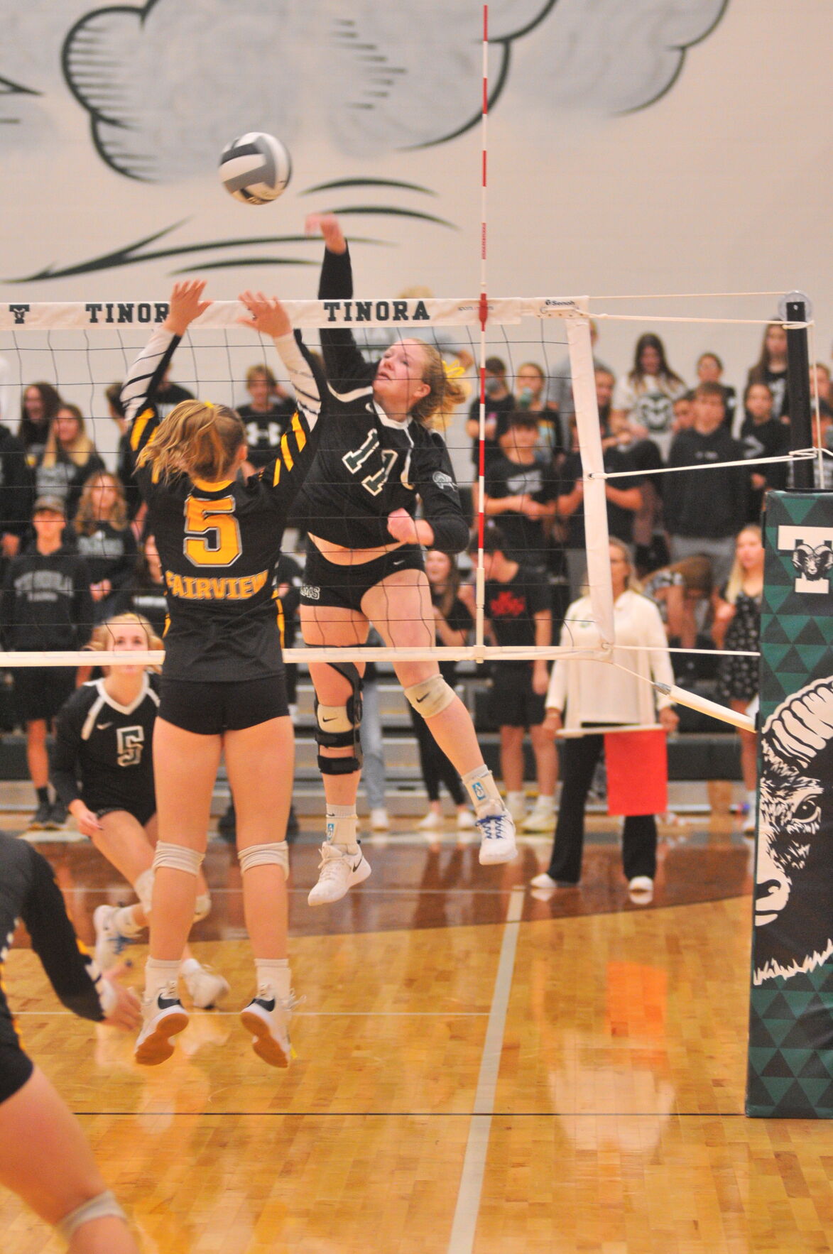 Thursday Volleyball Tinora Reclaims Gmc Title Over Fairview Local Sports Crescent News Com