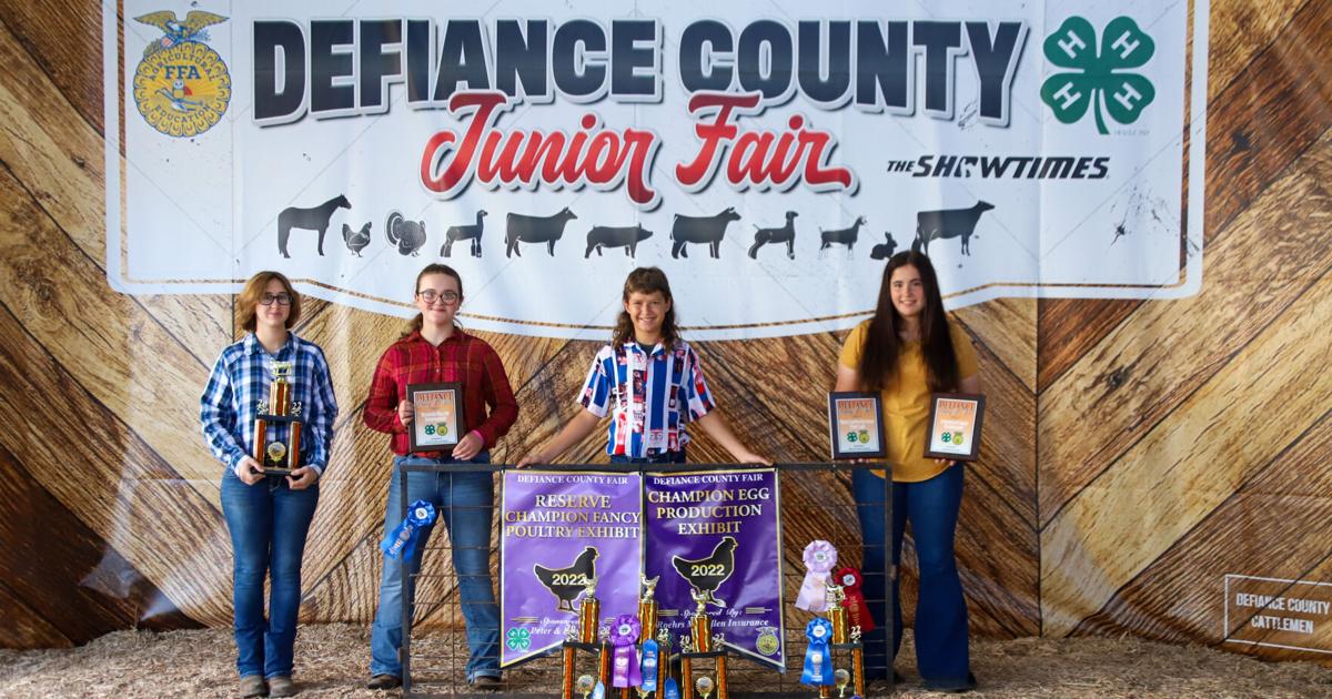 More winners at Defiance County Fair Fairs