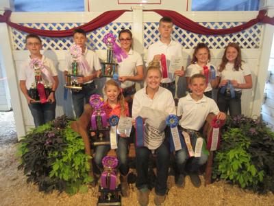More winners named at Henry County Fair