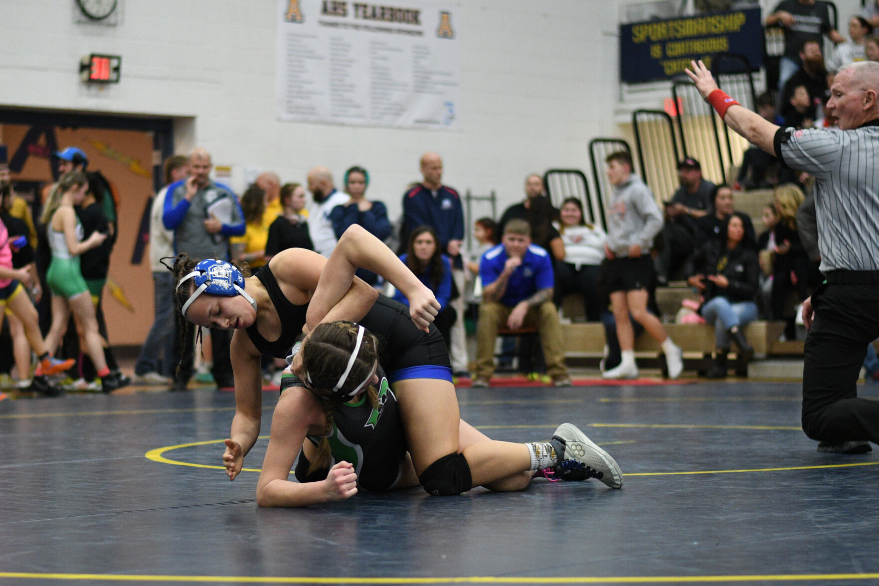 Sectional girls wrestling: Area girls advance from three sites