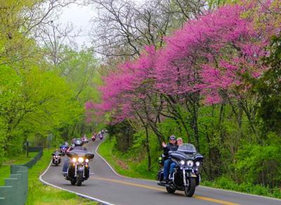 Motorcycle awareness