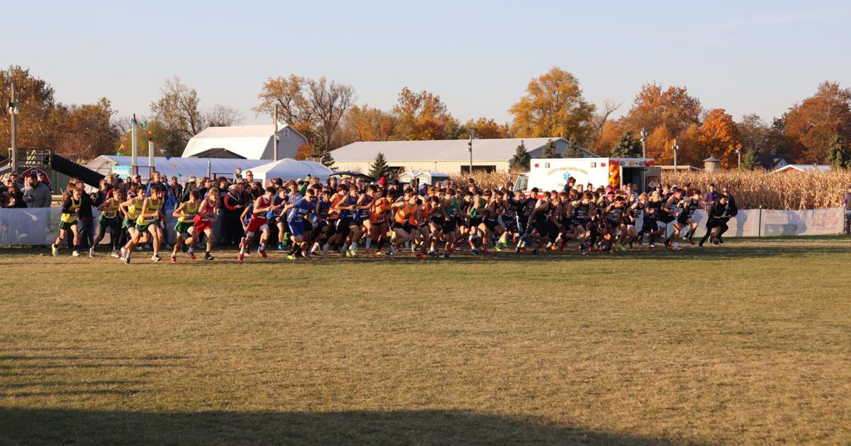 Regional cross country Tiffin in talented field Local