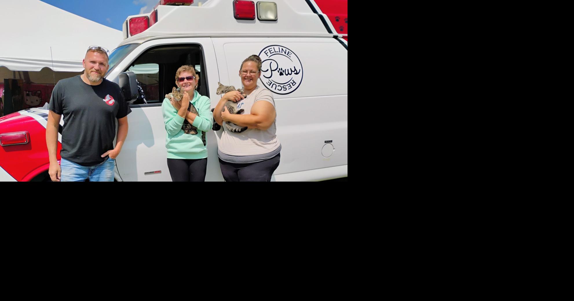 Paws Feline Rescue draws fairgoers amid activity at Defiance County Fair