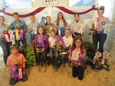 Henry County goat winners