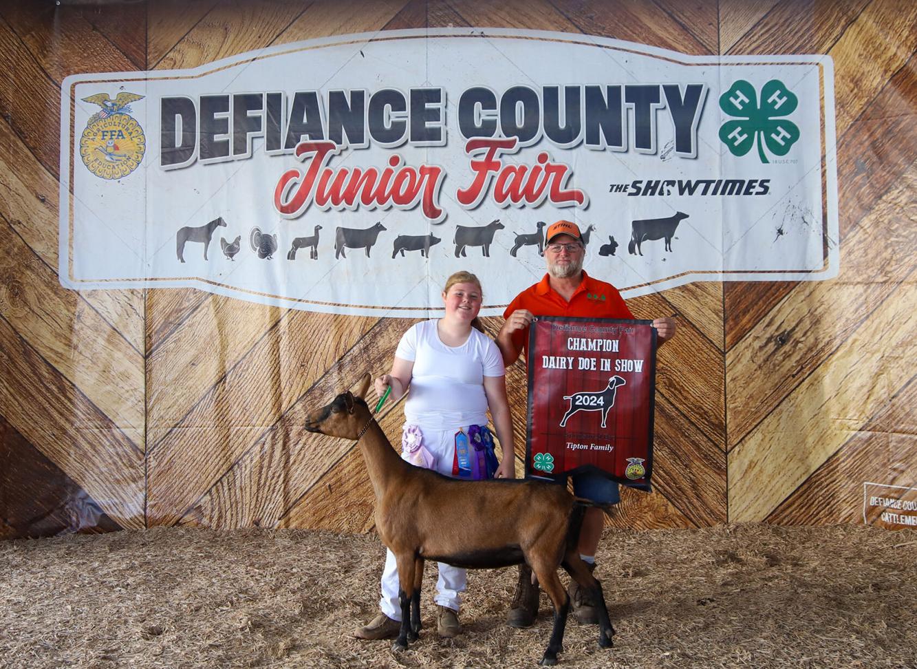 Grand champion lactating dairy goat Fairs