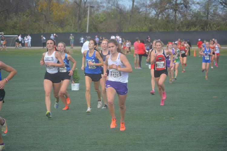 State cross country: Five area runners see podium finishes at Obetz ...