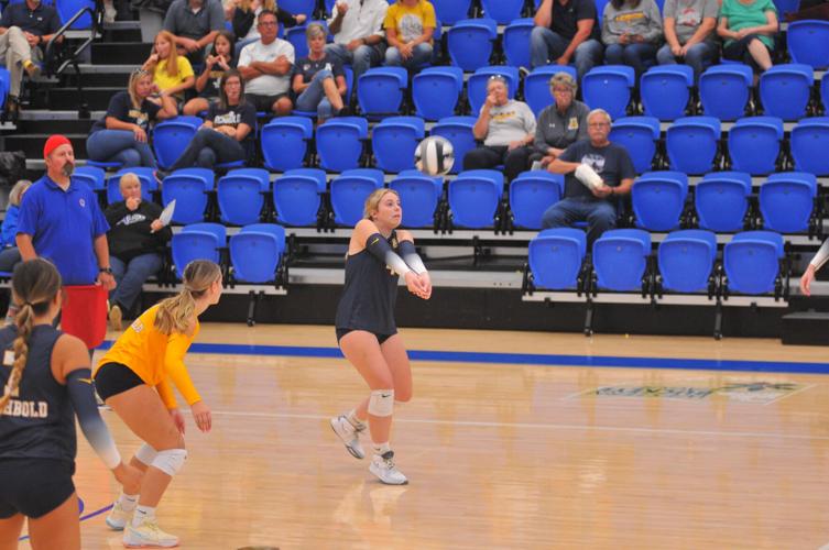 Tuesday DHS roundup Archbold volleyball downs 'Dogs; Defiance blanks