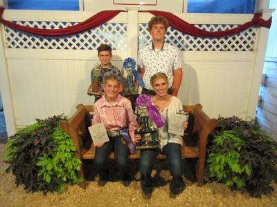 HCF more sheep show winners 2