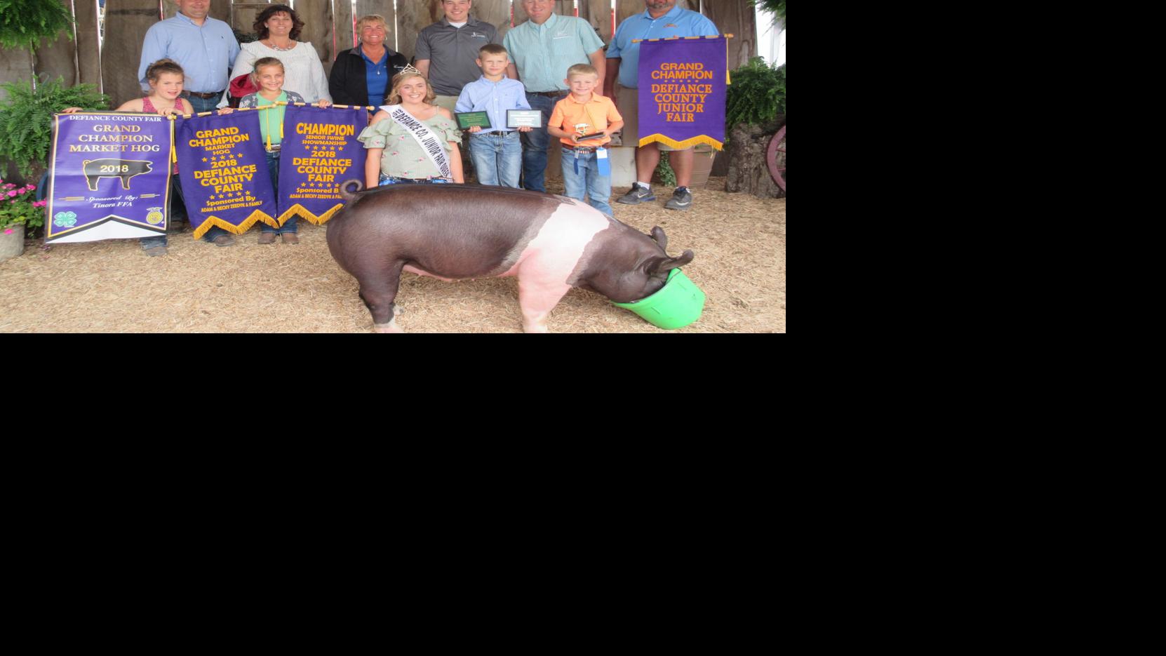 Champion Market Hog Sold For 1 600 Local Farm Crescent News Com