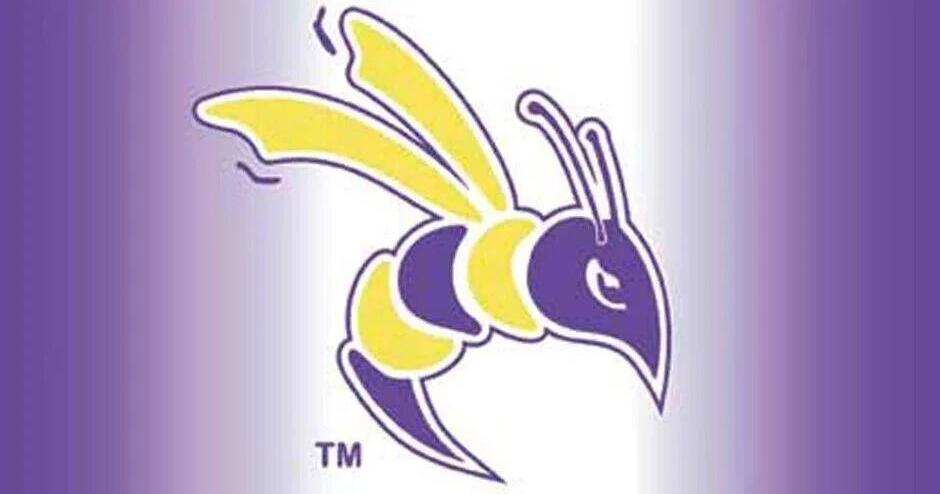 DC sports: Volleyball earns sweep in WHAC opener